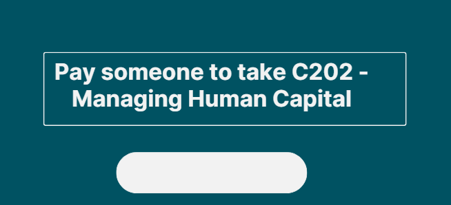 Pay someone to take C202 – Managing Human Capital